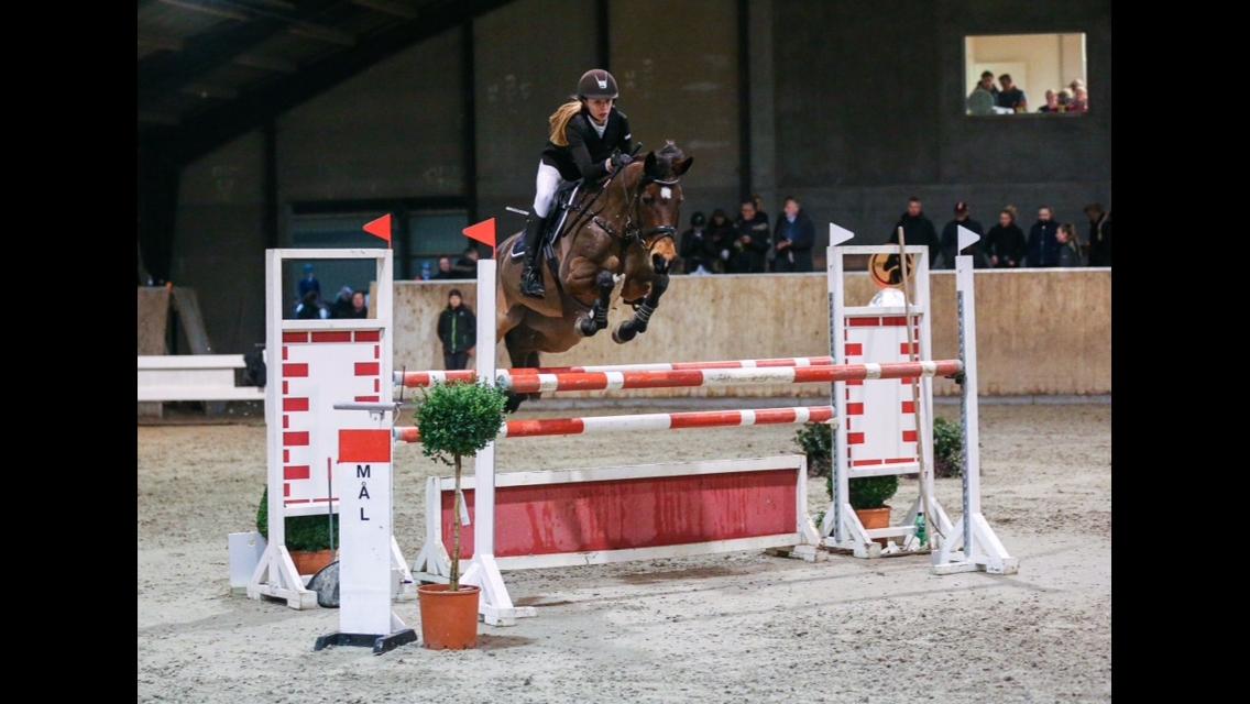 DSP Bæklunds Arquette - DM 2016 billede 1