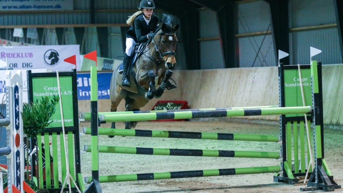 DSP Bæklunds Arquette - DM 2016 billede 3