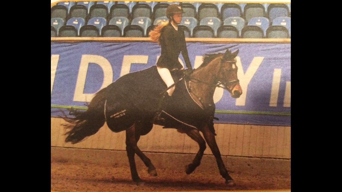 DSP Bæklunds Arquette - Vinder af MB** finale på Vilhelmsborg billede 5