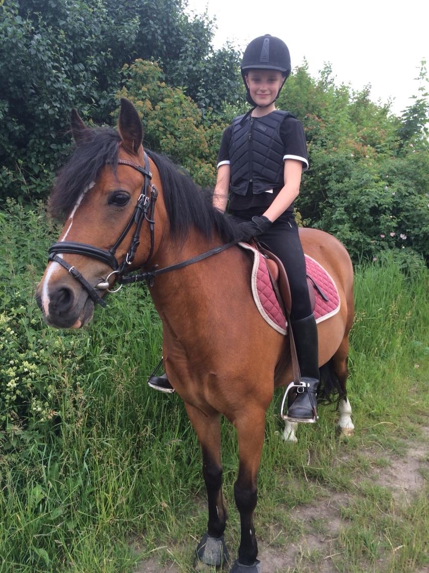 Anden særlig race La Paloma billede 1