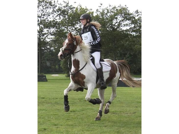 {{currentPhoto.altText}} billede {{currentPhoto.number}}