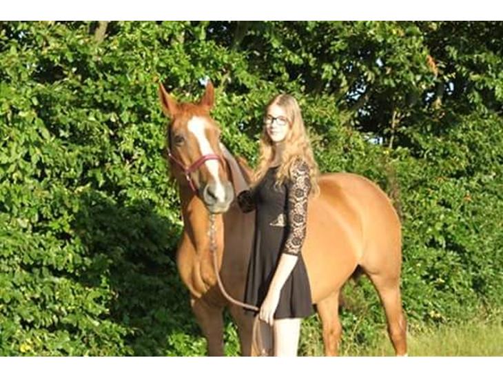 {{currentPhoto.altText}} billede {{currentPhoto.number}}