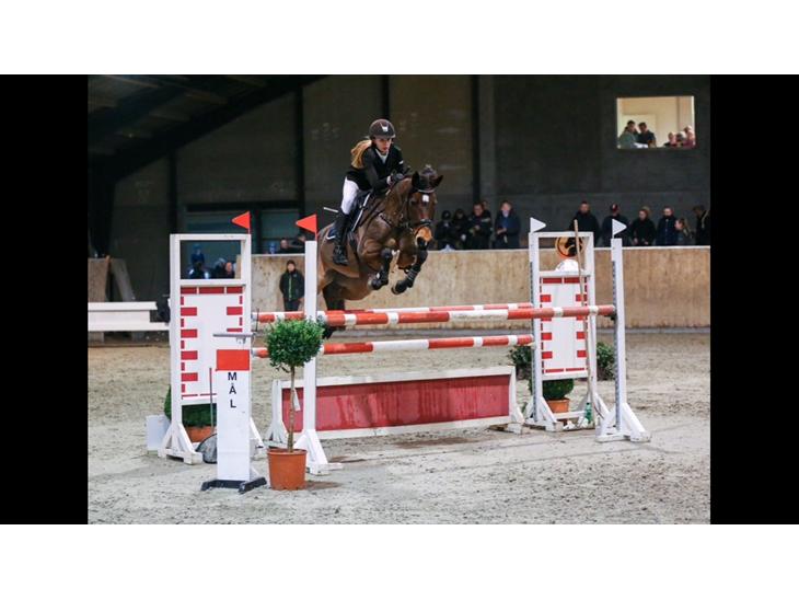 {{currentPhoto.altText}} billede {{currentPhoto.number}}