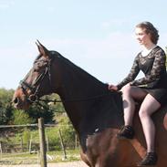 Oldenborg Drisdal's webster