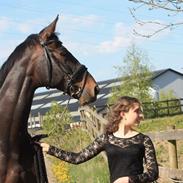 Oldenborg Drisdal's webster