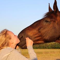 Oldenborg Horsebjergs galanto