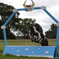 Pinto Bakkegaardens Montoya