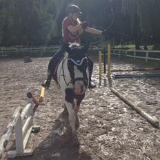 Tinker Sir Archibald af Østerbygaard