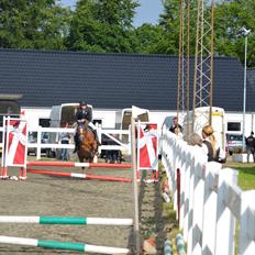 Anden særlig race Tasano