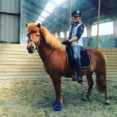 Islænder Jódís fra Freistinggård. (Part)