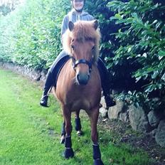 Islænder Jódís fra Freistinggård. (Part)