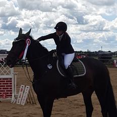 Tysk Oldenburger Tsandro song