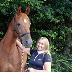 Anden særlig race Manja 