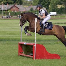 New Forest Odden's replay