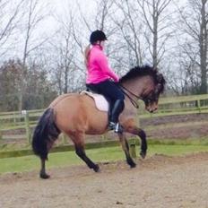 Anden særlig race Isabella<3