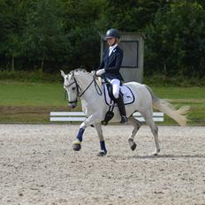 DSP Jean Le'Penn A PONY 