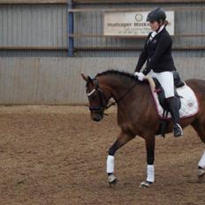 DSP Nagengaards lady madonna