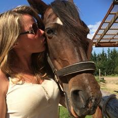 Anden særlig race Lotte RIP Min smukke pige