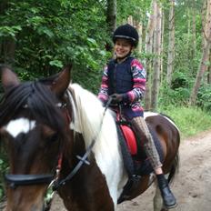 Anden særlig race Lotte RIP Min smukke pige