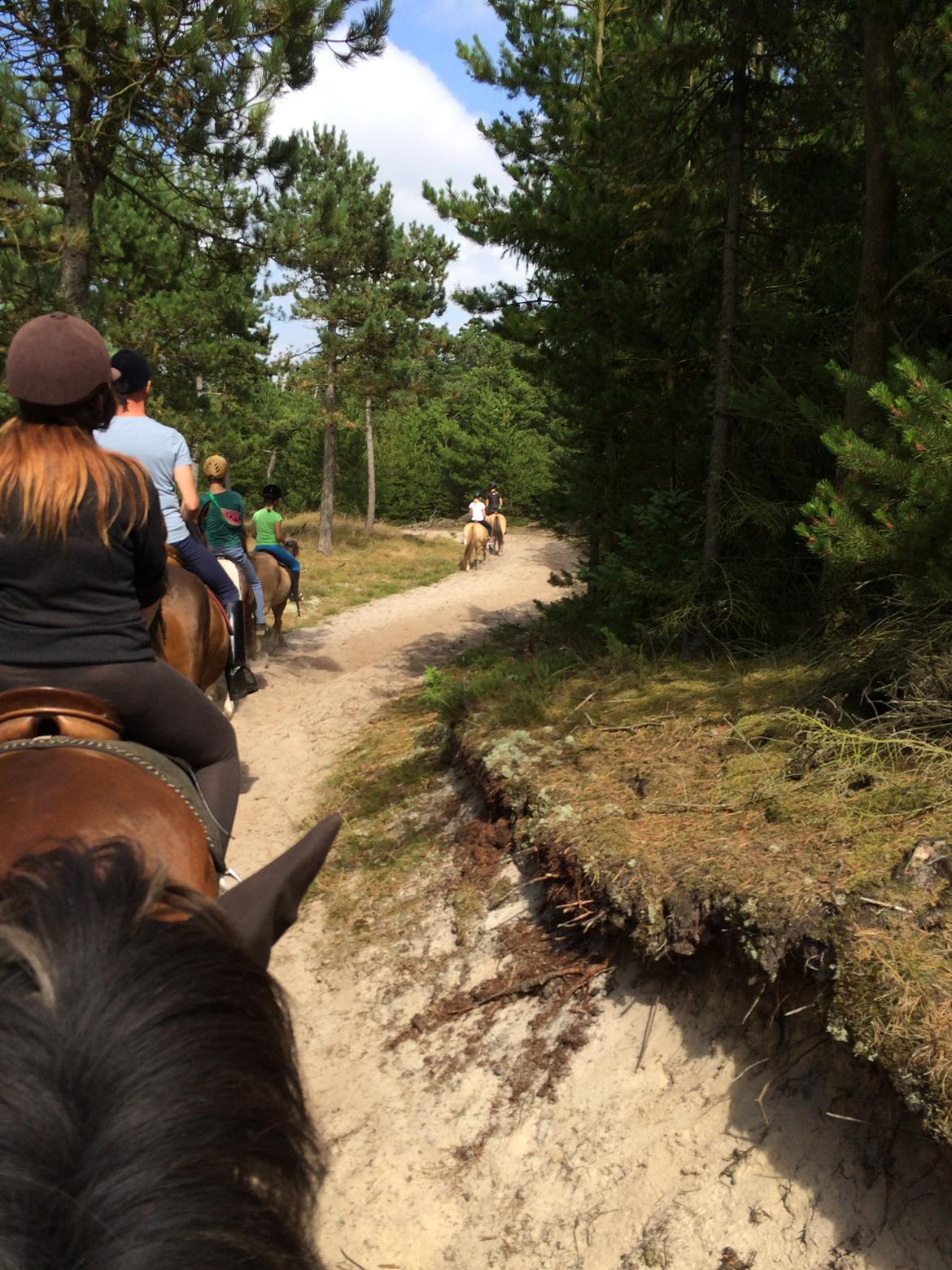 Anden særlig race Carla (Solgt) - Havde hende med på Rømø og red med Sigurd's hold.  billede 15