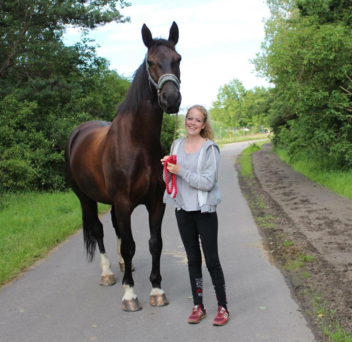 Oldenborg Horsebjergs galanto - Dagen inden han blev hentet hjem  billede 12