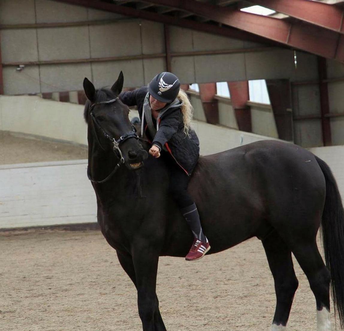 Oldenborg Horsebjergs galanto - 1 års dag billede 17