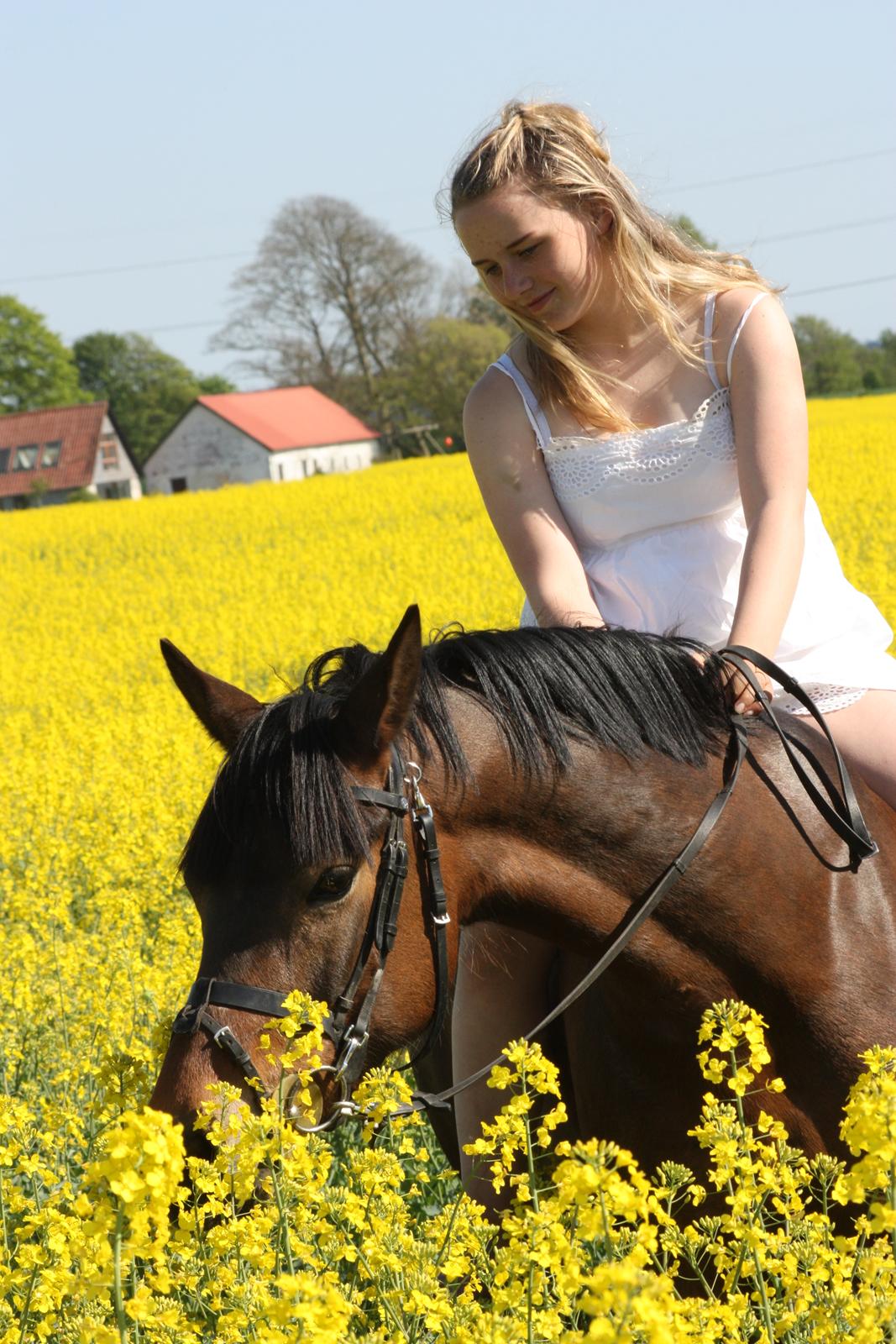 DSP Chanel - lidt billeder fra sommer 2016 billede 5