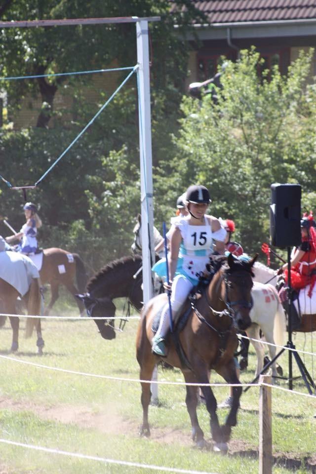 DSP Chanel - Fra ringridning 2015 billede 6