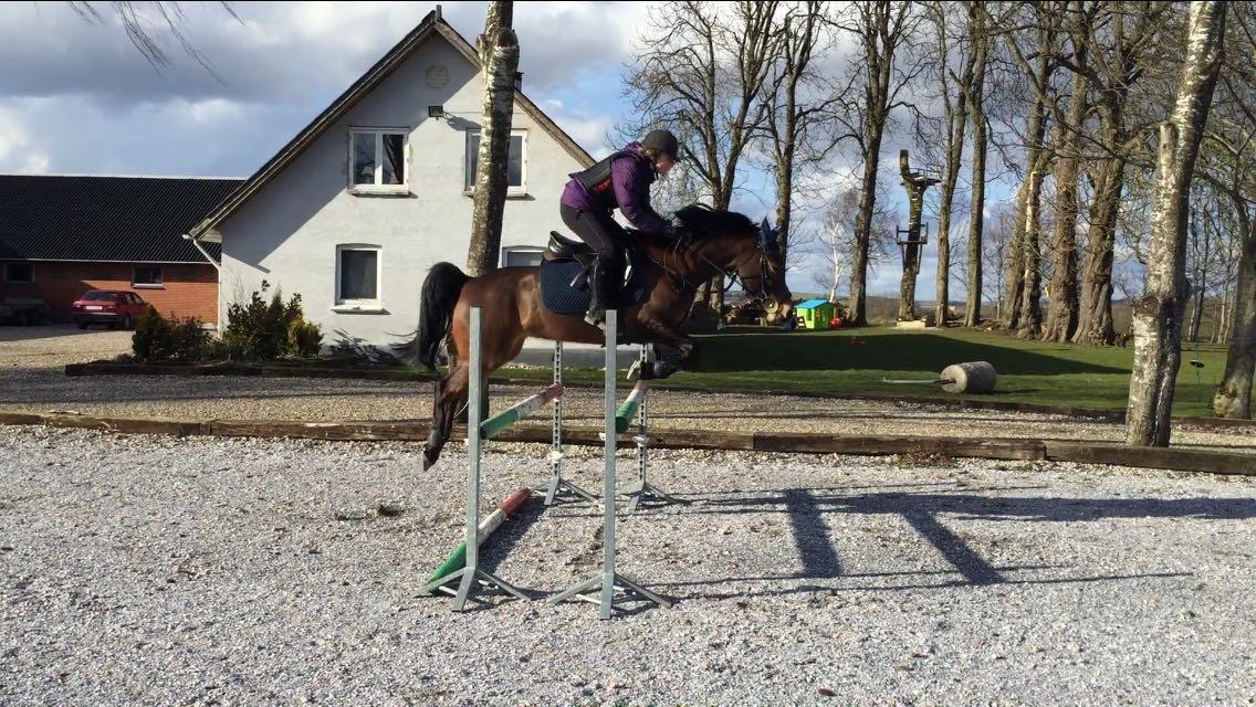 DSP Chanel - En dag fra undervisning<3 billede 7