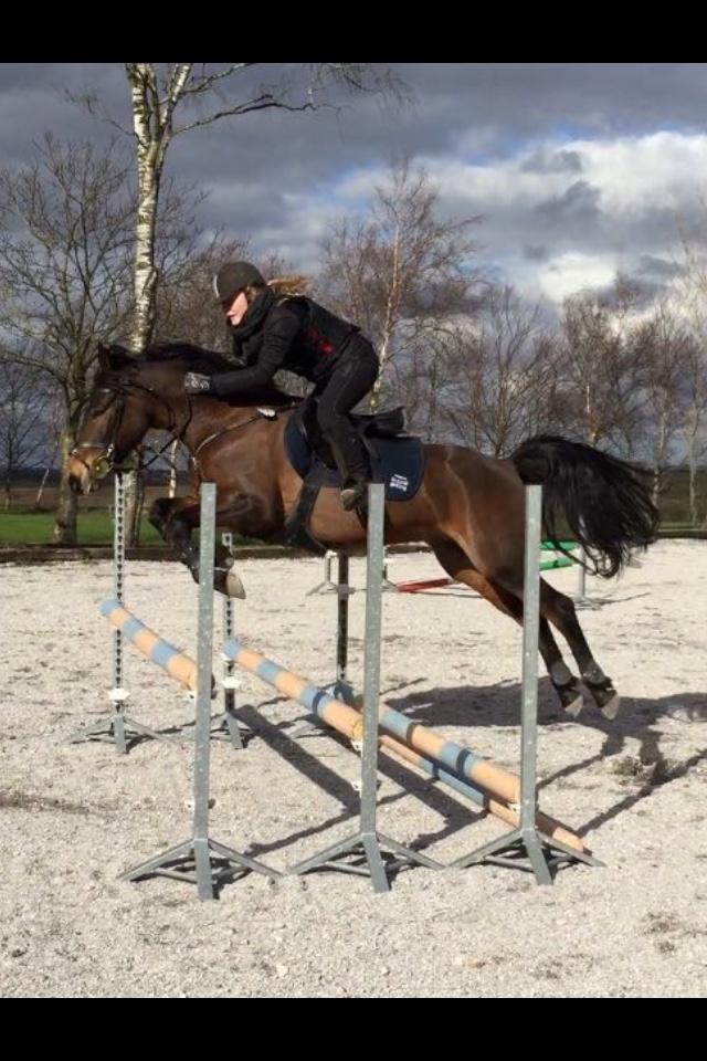 DSP Chanel billede 8