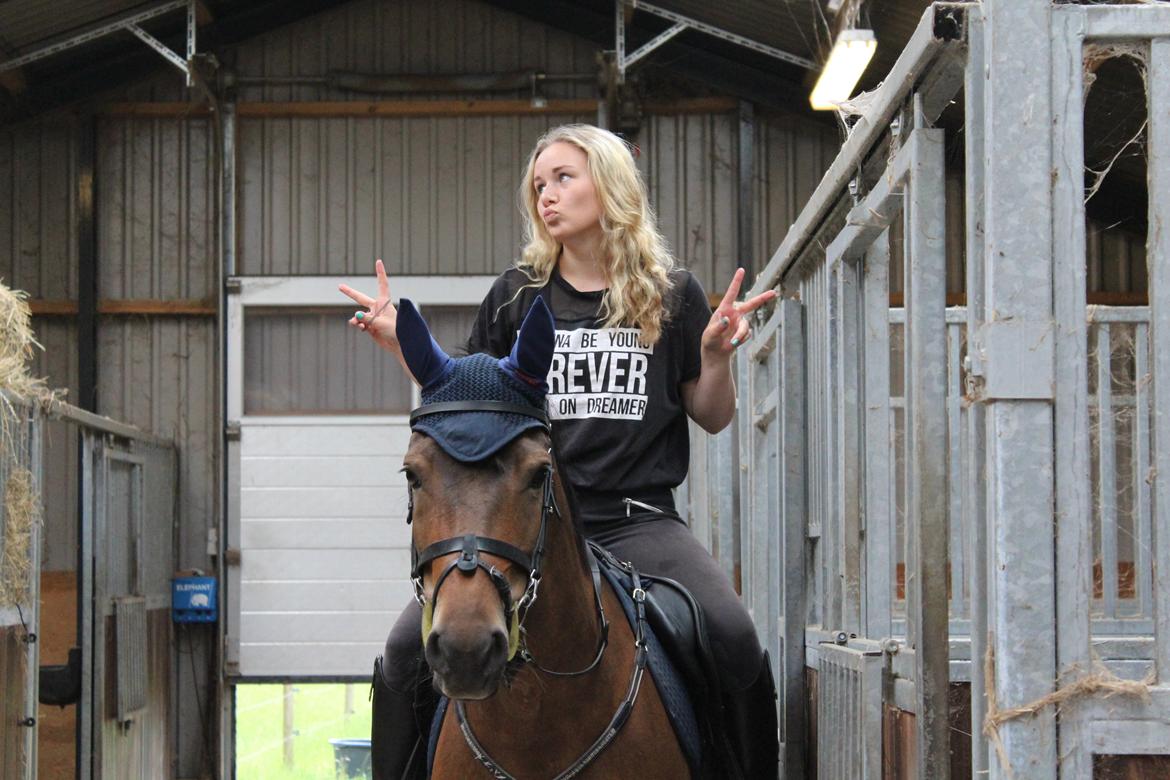 DSP Chanel billede 9