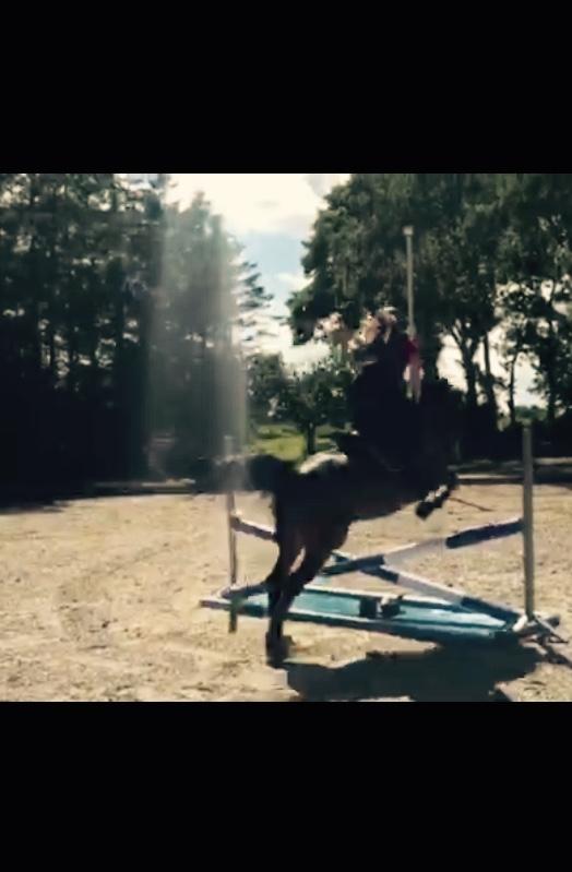 DSP Chanel billede 10