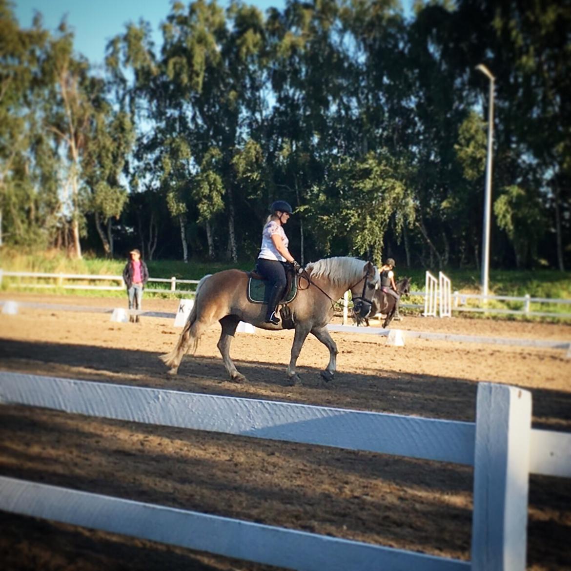 Haflinger Sandals Maximillian billede 13