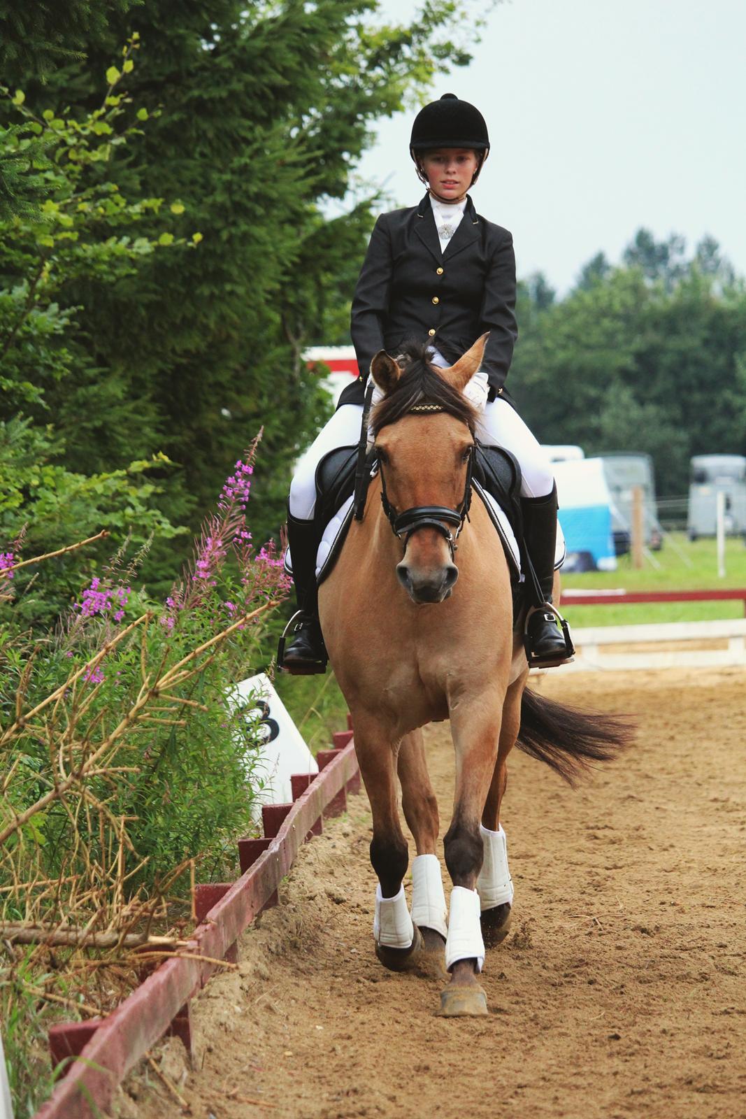 Anden særlig race Bonnie <3 {part}  - "Someone up there must be watching out for me, because they sent Heaven’s most beautiful angel into my life." bedsteste ponymus! <333 billede 18