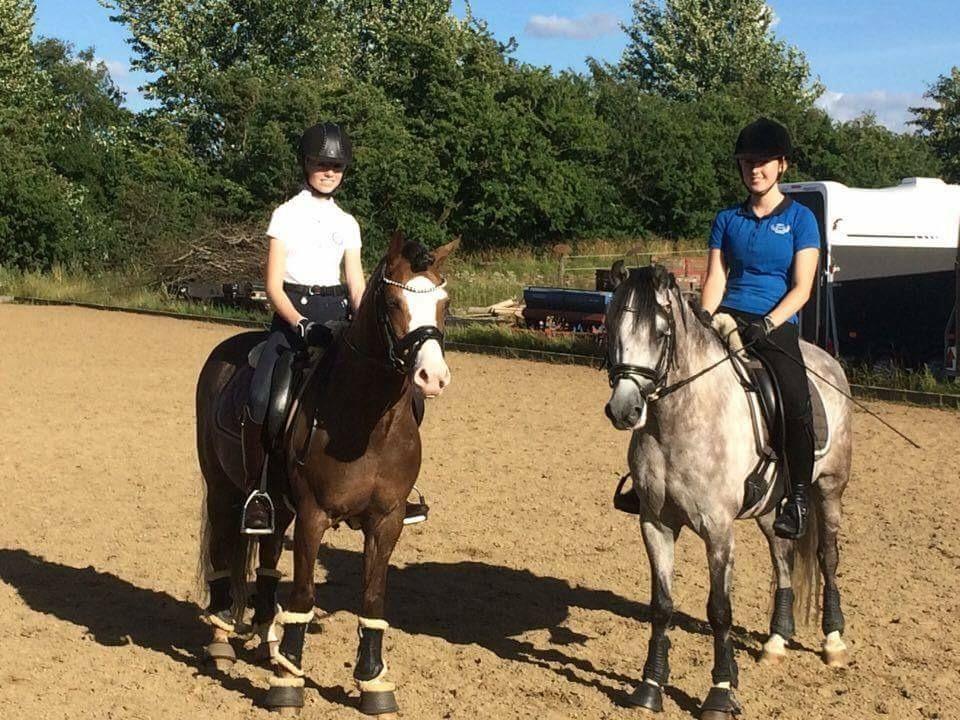 Welsh Pony (sec B) Kirkelodgaard's Milan - Milan og hans nye bedste ven, Barnhoeves Arthur :) billede 8