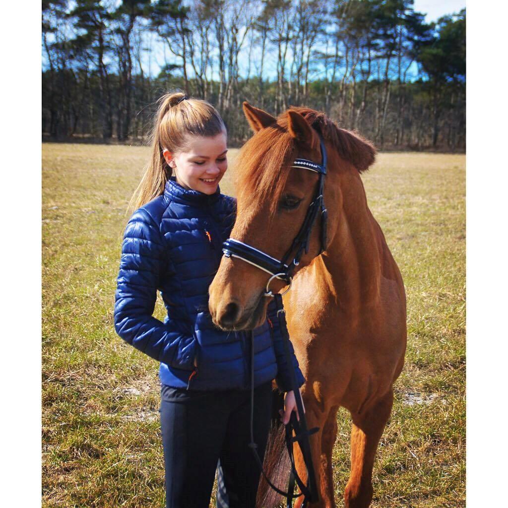 Svensk Sportspony  Casco <3 - Forår 2015  billede 9