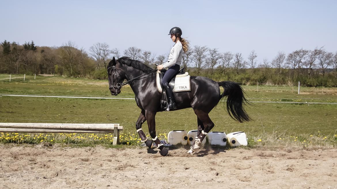 Oldenborg Fillip billede 6