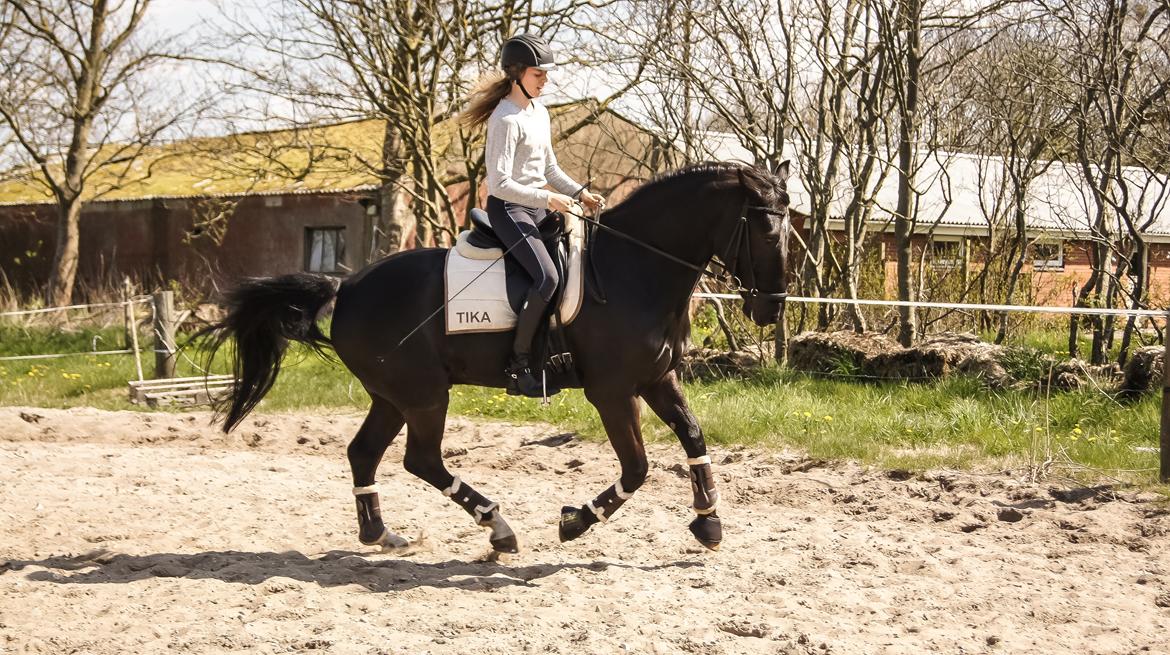 Oldenborg Fillip billede 10