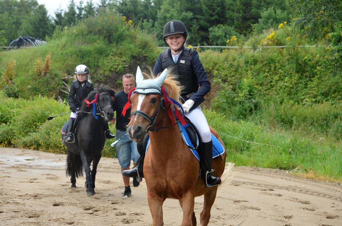 Anden særlig race Tasano - MSH springdag 30/07/2016 æresrunde med 2 rosetter billede 6