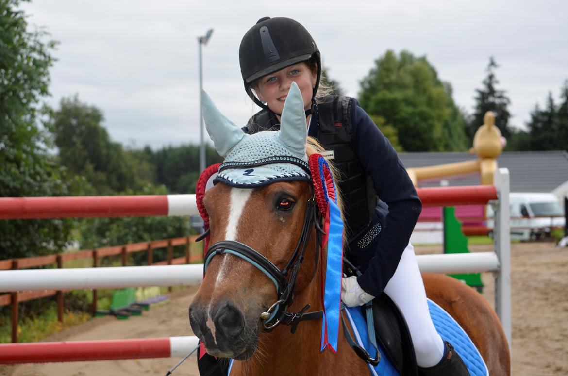 Anden særlig race Tasano - MSH springdag billede 7