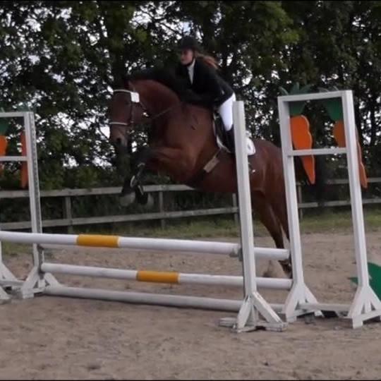 Oldenborg Millers mickey - Til vores første stævne :) LF 70 cm 3 plads billede 2