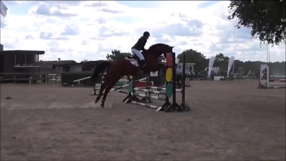 Oldenborg Millers mickey - Til vores første stævne :) LF 70 cm 3 plads billede 3