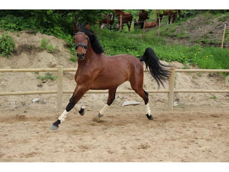 Oldenborg Millers mickey - Mickey som 3 års billede 1