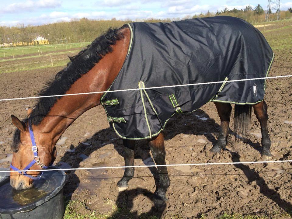 Oldenborg Millers mickey billede 16