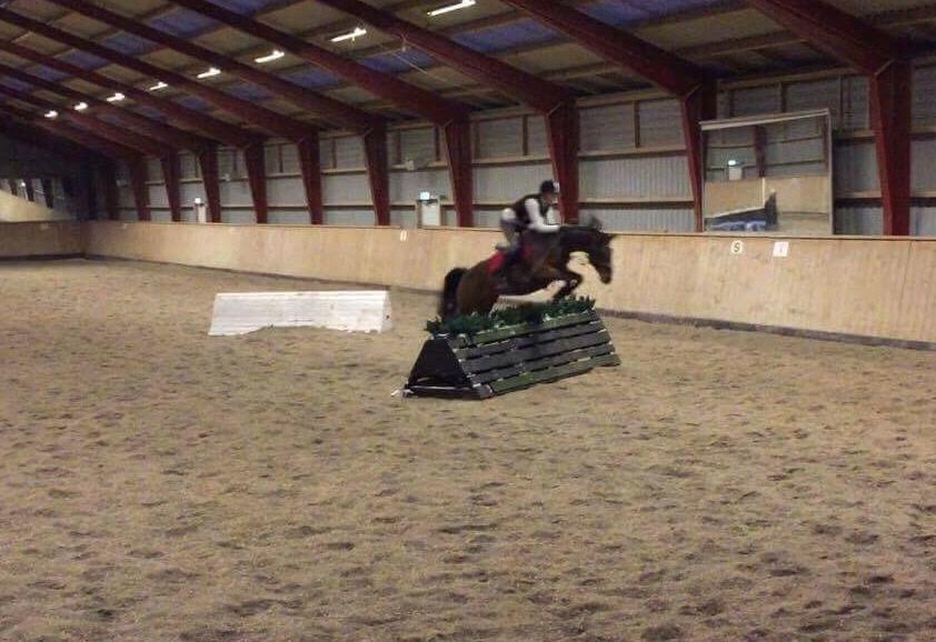 Anden særlig race Dücell billede 18