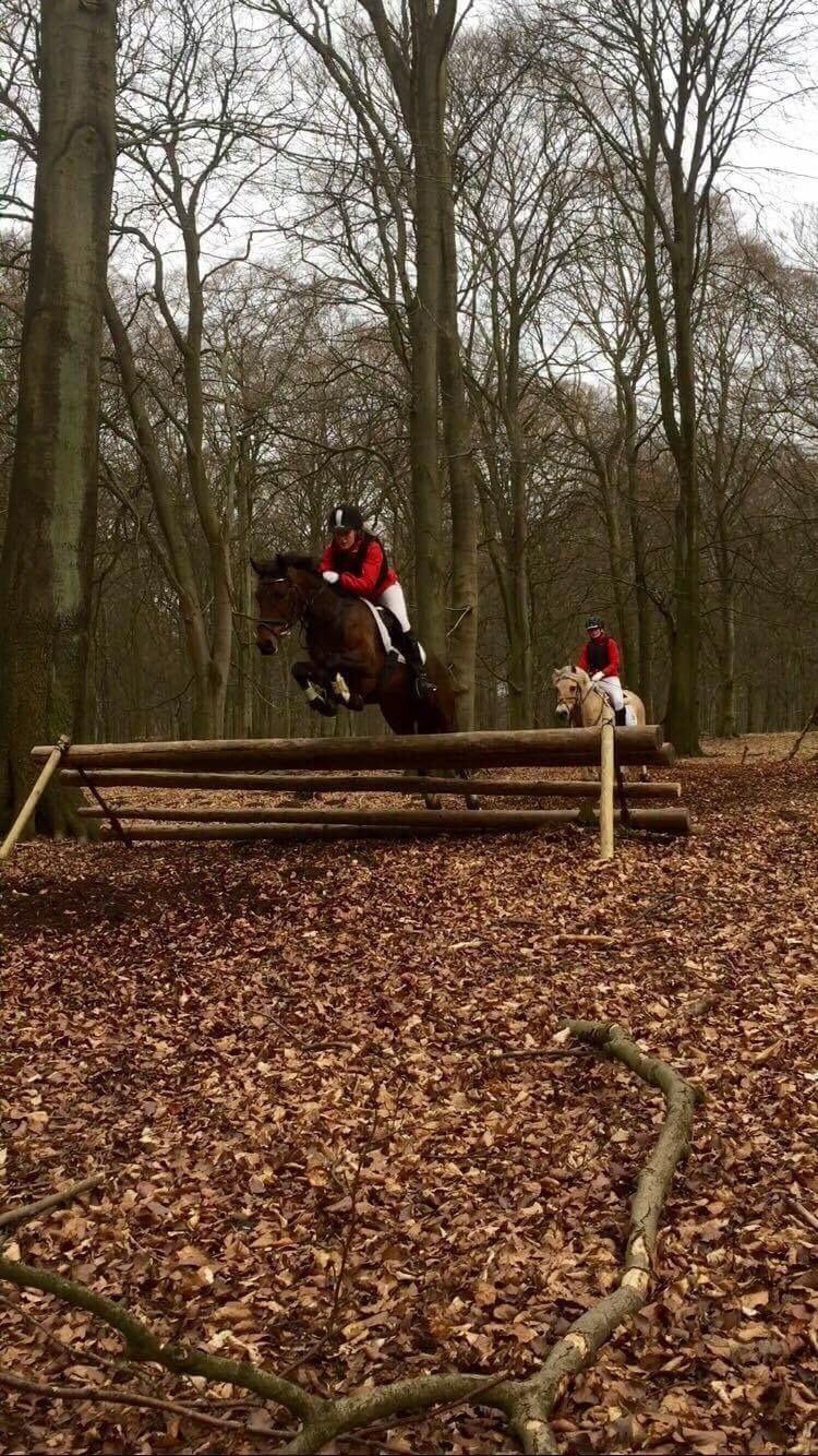 Anden særlig race Dücell billede 15