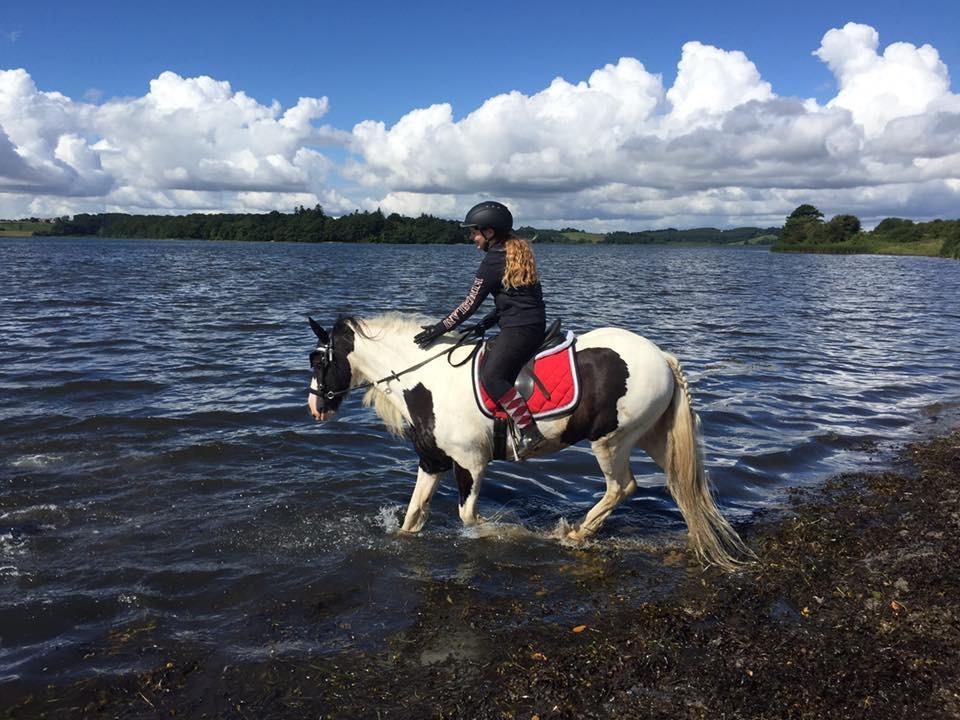 Tinker Sir Archibald af Østerbygaard - Første gang i vandet. Han har altid været en pivskid overfor vand billede 1