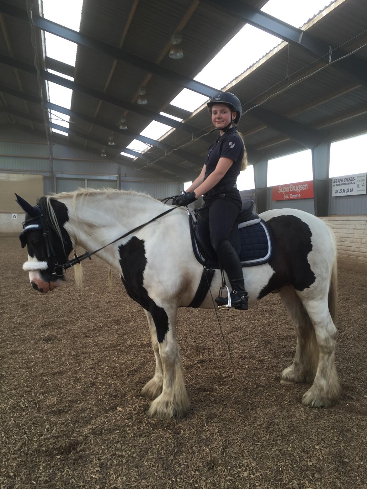 Tinker Sir Archibald af Østerbygaard billede 17