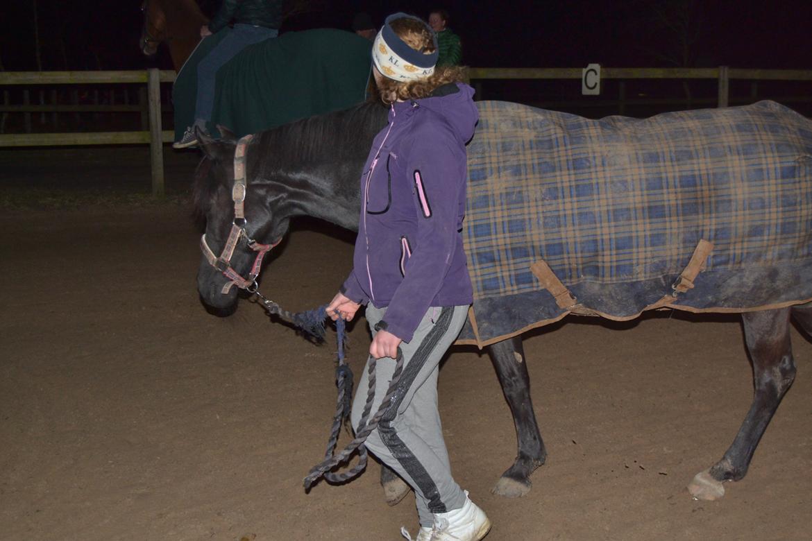 New Forest Remontes Sweet Swing (solgt) billede 18