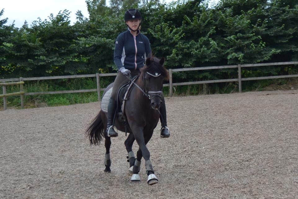 New Forest Remontes Sweet Swing (solgt) billede 20